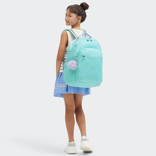 image-00539fc429cf464f9375dcffcda4d711