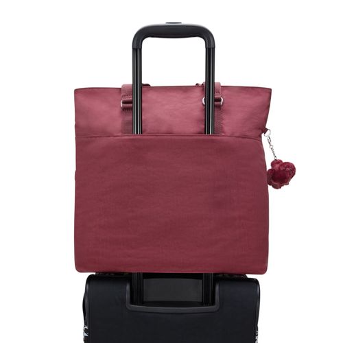 image-9d5c60a647ff4f0c92b0ec2e65b4c99e