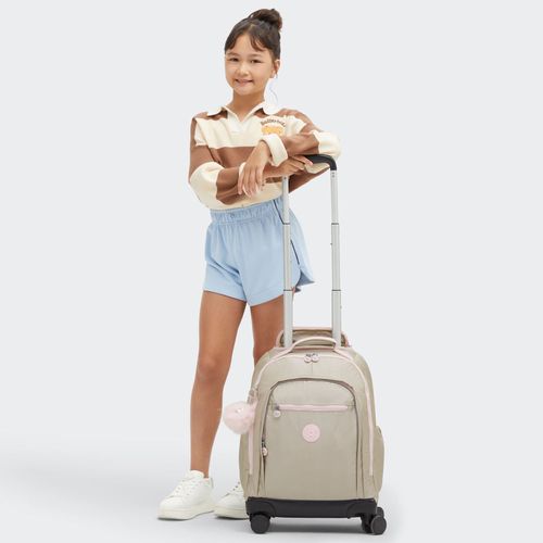 image-e4e5768d27c345cd8c0072a77672098a