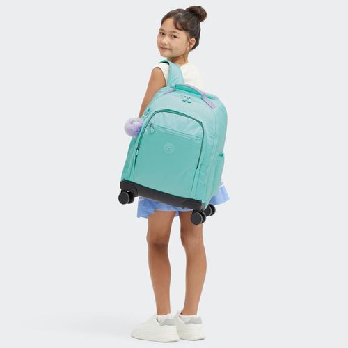 image-ee585474bc0d4ec495bf0d5866aaa5d2