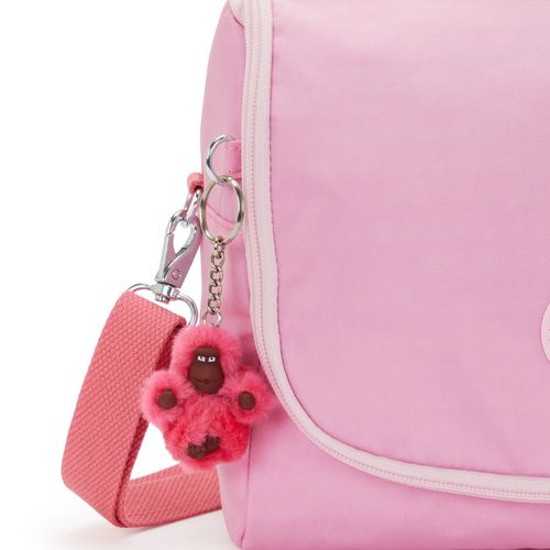 image-8330130aaf5046f187242abd2c9cfff1