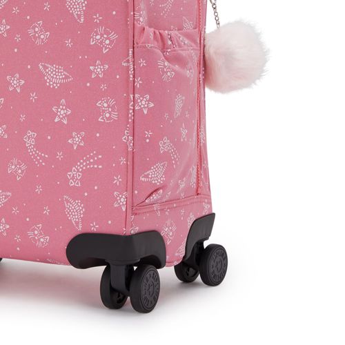 image-e5501bcaf0fb4252a67c519f63b0d745