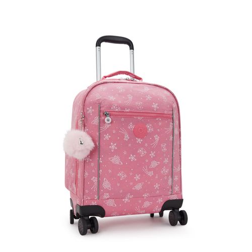 image-0ec9f1ed251049829e80612391fa47e1