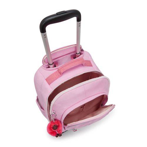 image-411d7adc4cdc4a388831144d3508f11f