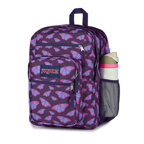 image-4f429eff45854a0697ddc60d93822ff3