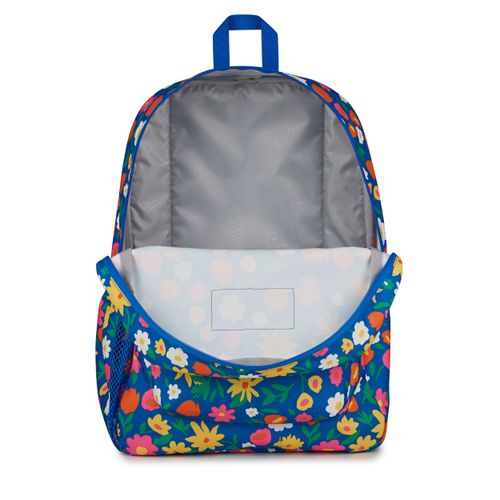 image-87d5aa973f234262b36367a85e1b80ed