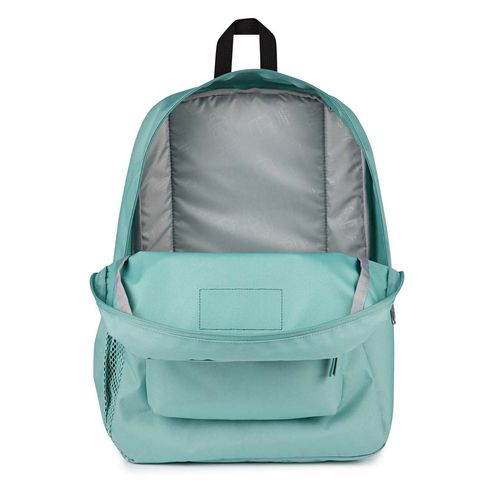 image-47759542019d47ce9ff4b82cd66eae4a