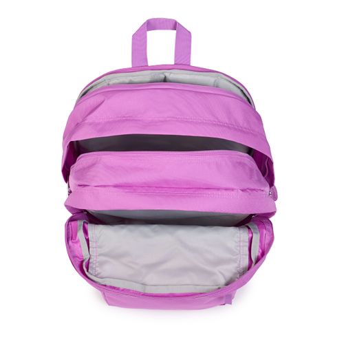 image-56865198c9414f52bcbc5cbaaee9b205