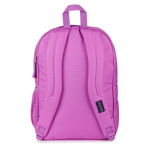 image-3e585e57563e478587af4e9e2da8a6f2