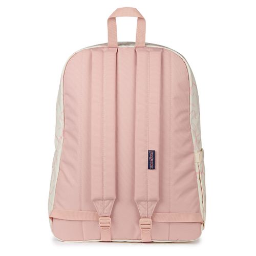 image-342b95aad9394259872bdd0f92f37e11