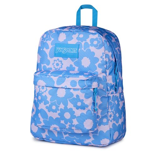 image-b027c4fc4d0f4990a661c59aa9ab26e0